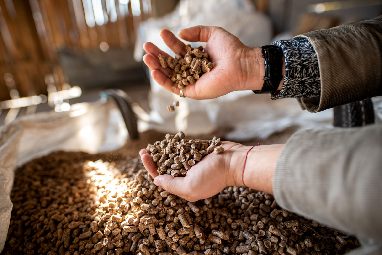 Videnscenter - alt hvad der er at vide (biomassefyr)