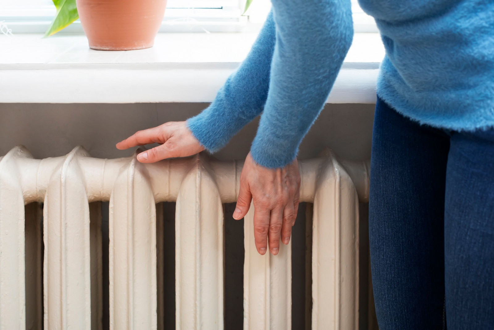 Tekst - billede - videnscenter 2 (biomassefyr)